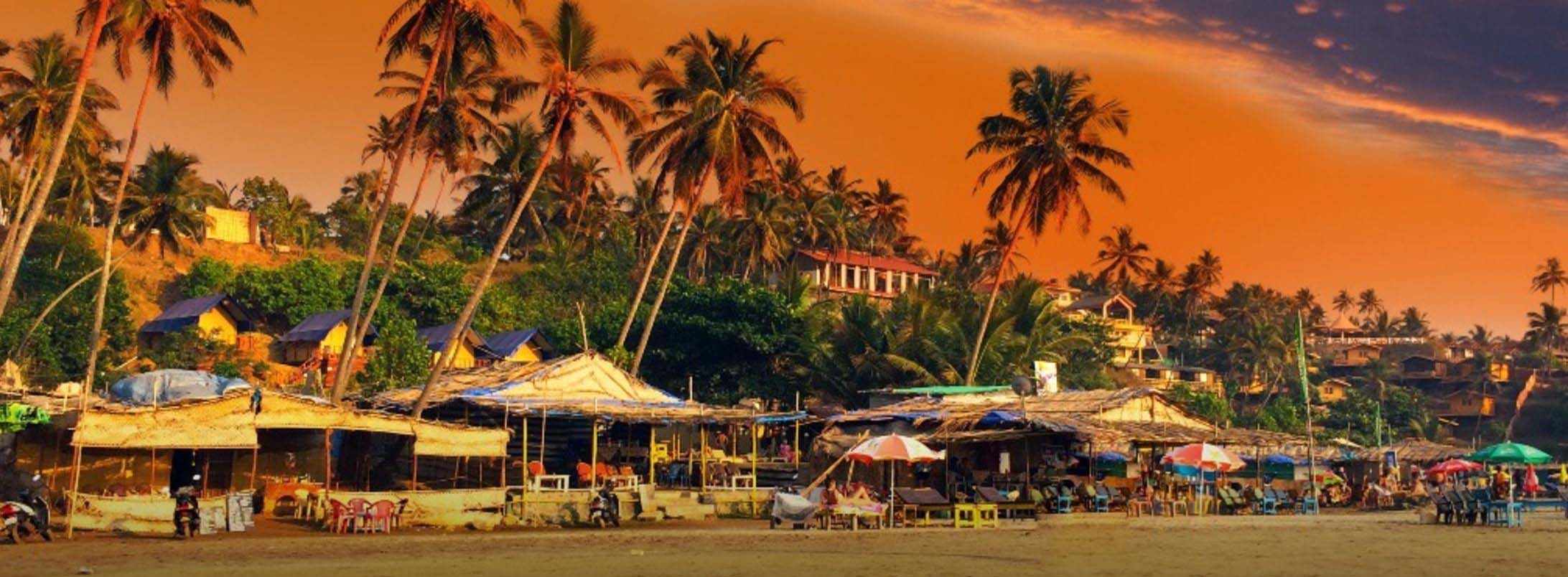 Travel Agency in Katra