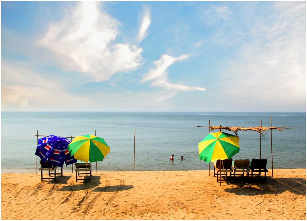 Best Travel Agents in Katra