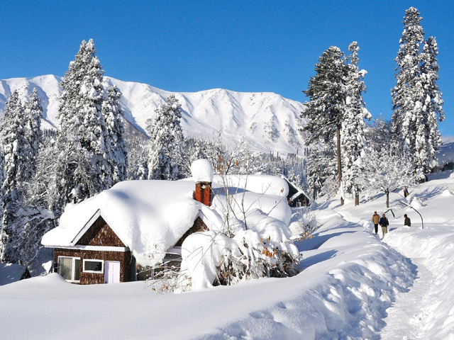 Best Travel Agency in Katra