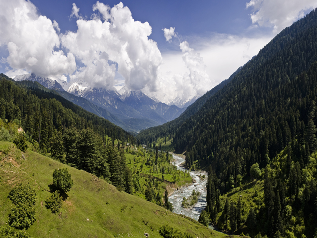 Travel Agency in Katra