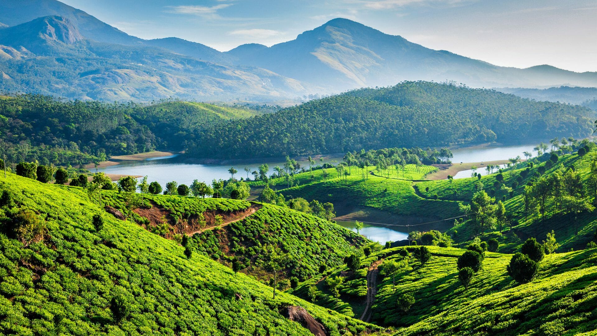 Travel Agency in Katra