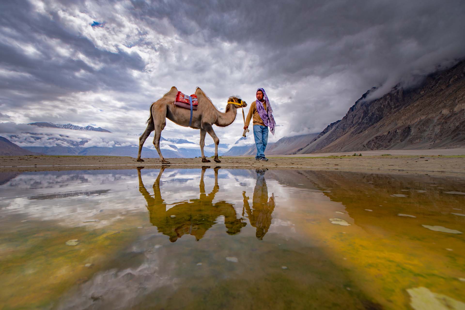 Travel Agency in Katra